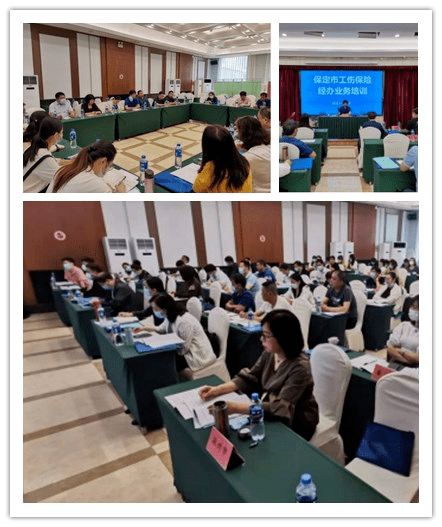 深化業(yè)務培訓，筑牢依法行政根基，提升為民服務溫度